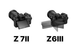 Nikon Z7IIとZ6IIIを比較まとめ 高画素のZ7IIか、AF・動画に強いZ6III